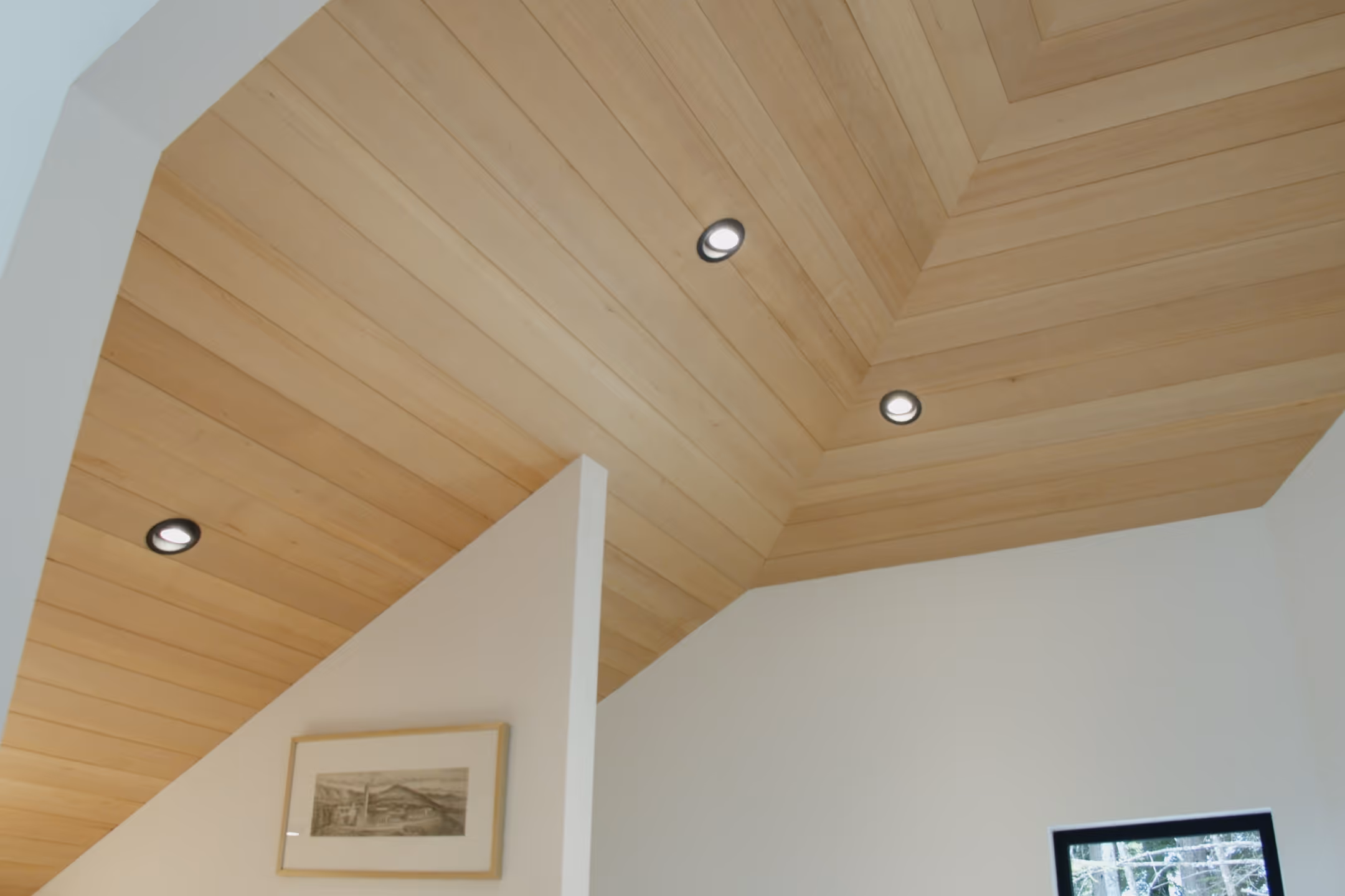 Whistler gallery image 5